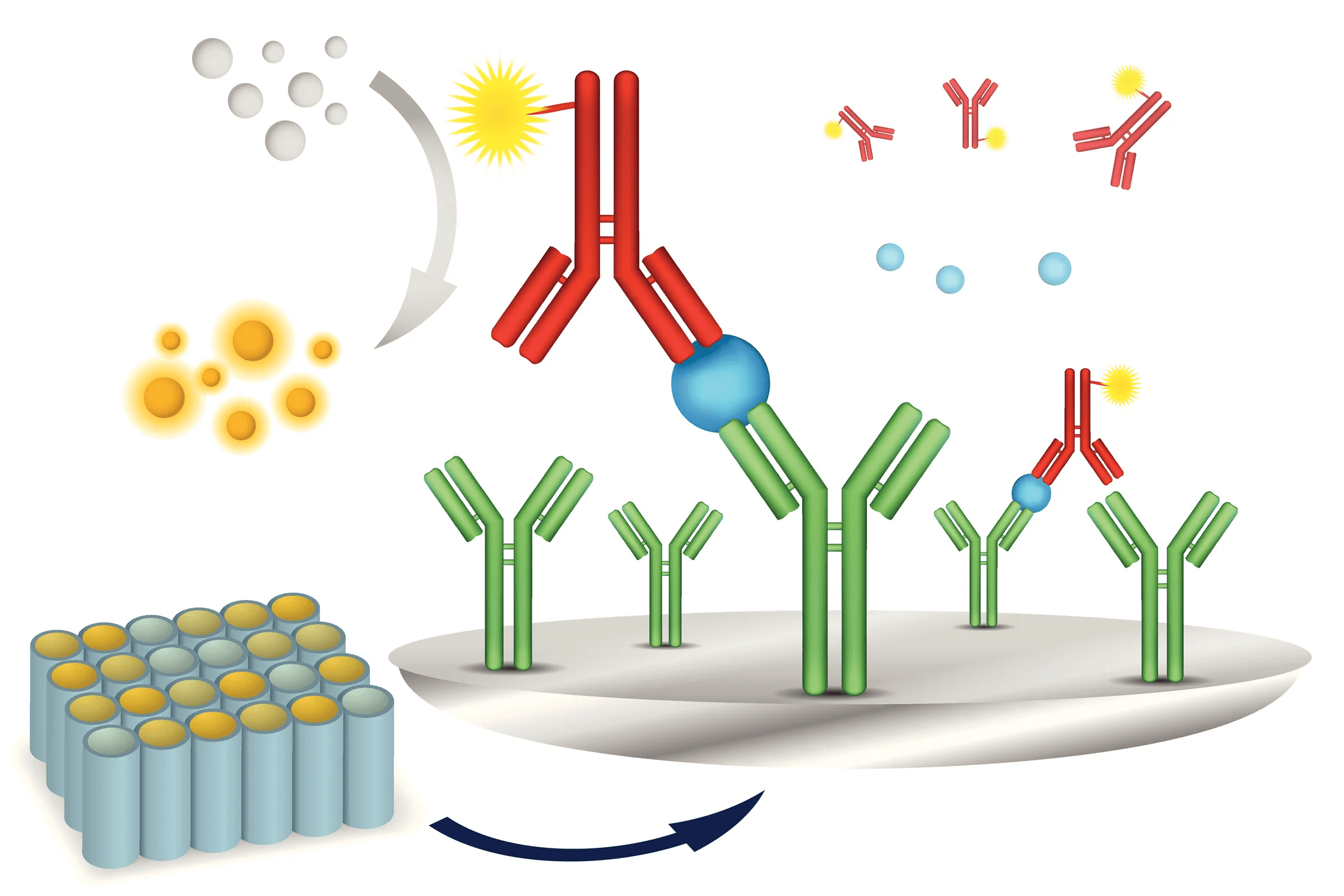 ELISA Method: The Game Changer in Analytical Labs You Can’t Ignore!