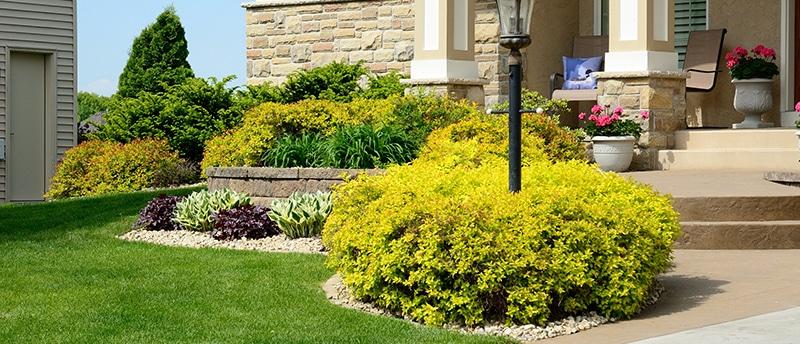 Transforming Outdoor Spaces: Landscaping Construction