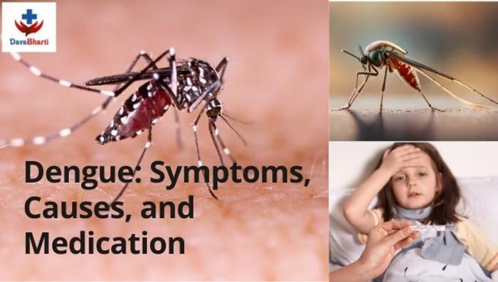 Dengue: Symptoms, Causes, and Medication